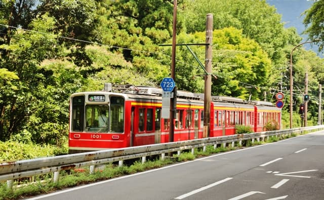 箱根の緑の山間を走行する箱根登山鉄道の車両